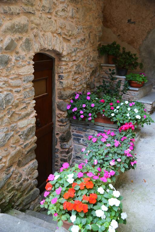 La Meridiana Casale Пиньоне Стая снимка